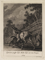 KG 01079
          <br/>
          Entwurf einiger Maulthiere und Esel. Siebender Theil. (18 bladen)
          <br/>
          <em>Ridinger, Johann Elias (1698-1767)</em>